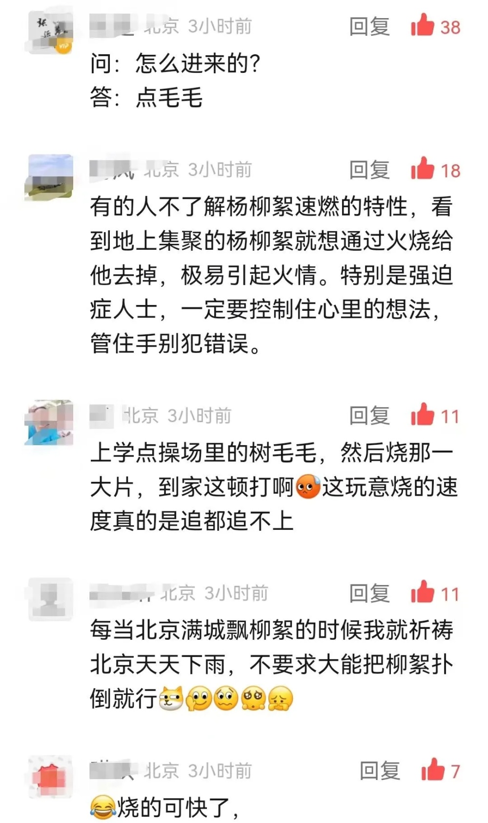 点燃杨柳絮涉嫌违法？民警告诉你→