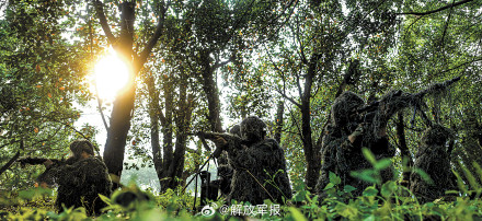 淬锋砺刃！直击陆军某旅狙击专业考核