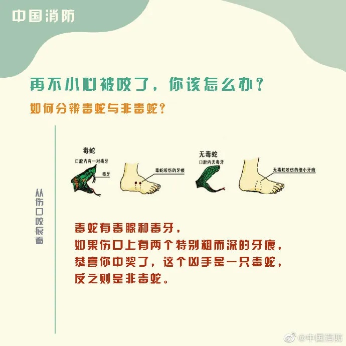 警惕!杭州女子不慎家门口中招,有剧毒 警惕!杭州女子不慎家门口中招,有剧毒