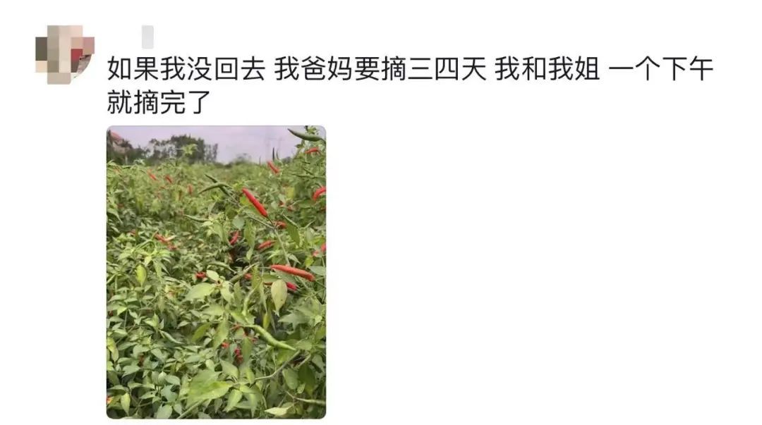 “干完这些事，觉得特别有意义，也很幸福……”