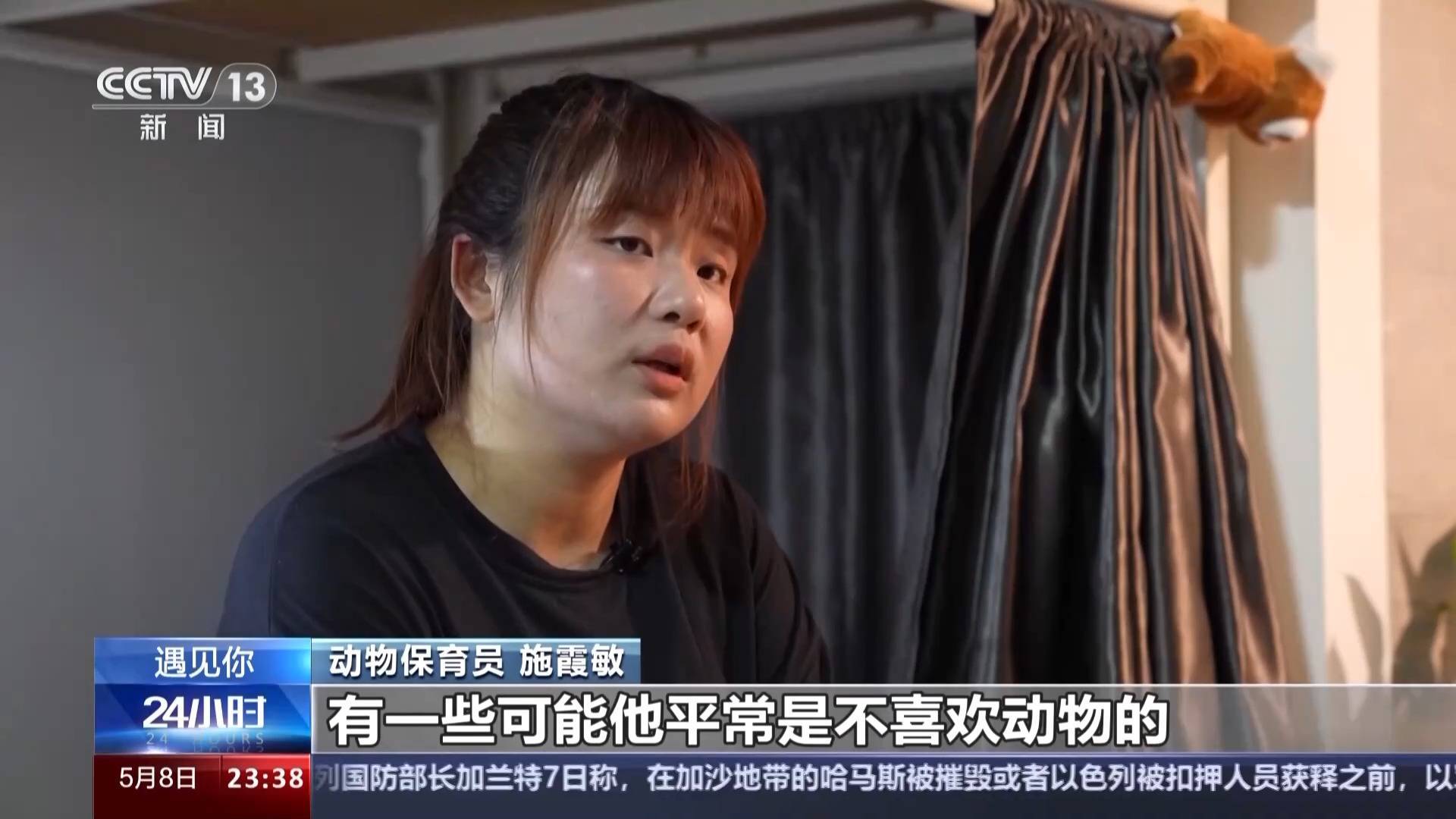 带薪“撸虎玩熊”?95后的她4年里拉扯大200多只猛兽崽崽 带薪“撸虎玩熊”?95后的她4年里拉扯大200多只猛兽崽崽