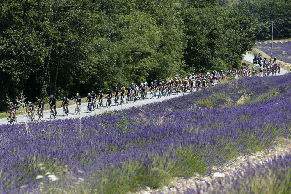 奥运火种乘船登陆，法国如何把火炬传递“玩出花”？