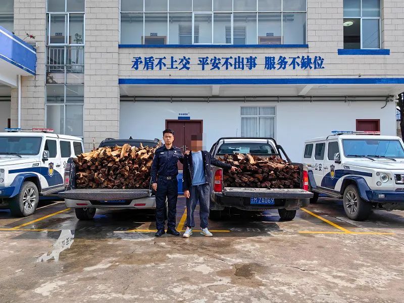 男子半夜驾车20公里偷柴，结果……