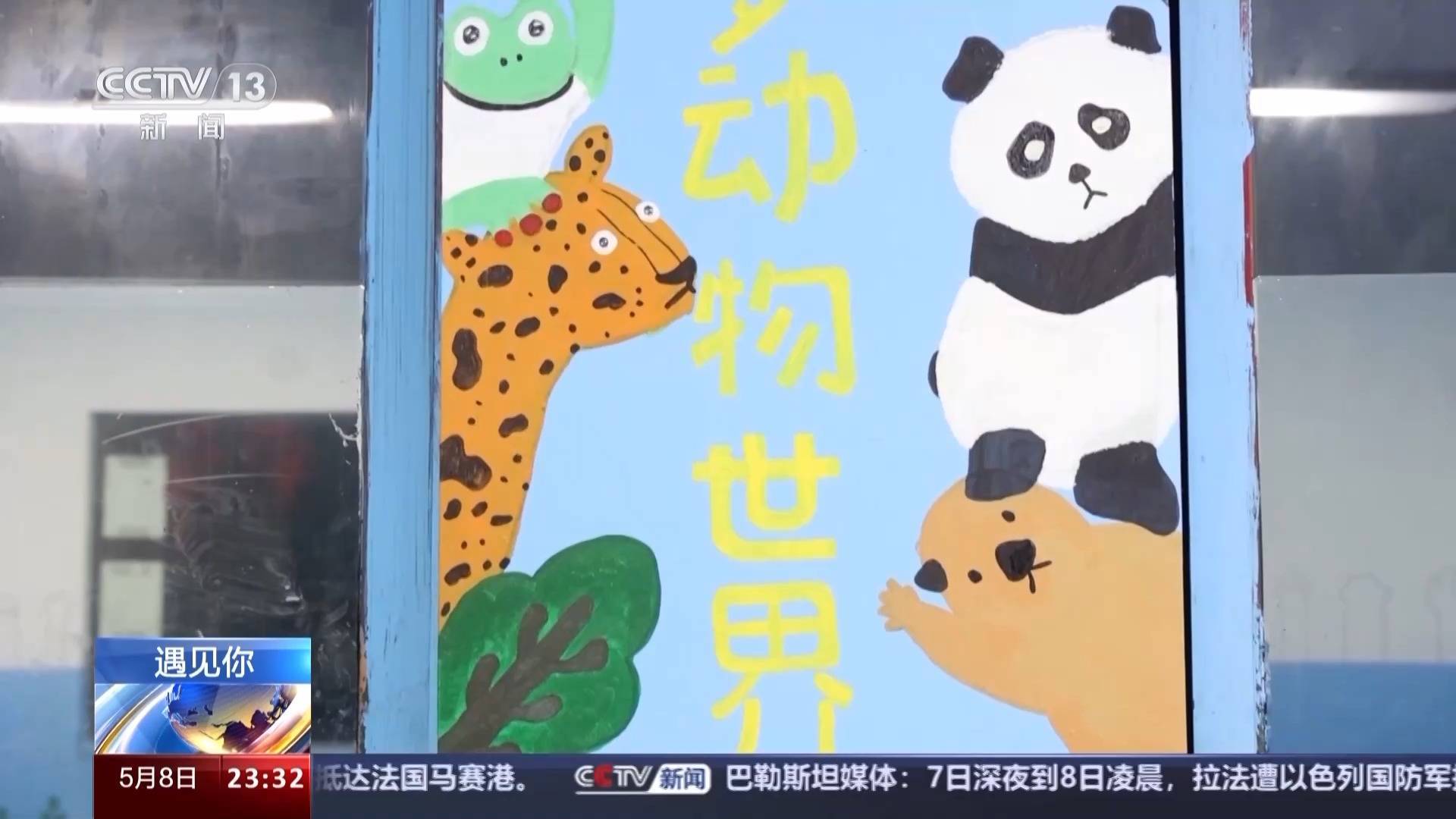 带薪“撸虎玩熊”?95后的她4年里拉扯大200多只猛兽崽崽 带薪“撸虎玩熊”?95后的她4年里拉扯大200多只猛兽崽崽