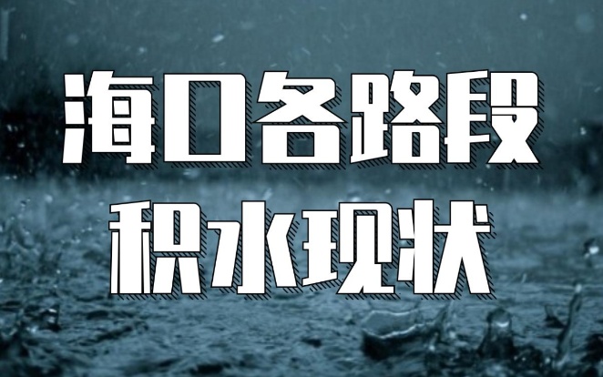 海口发布暴雨橙色+雷电黄色预警！