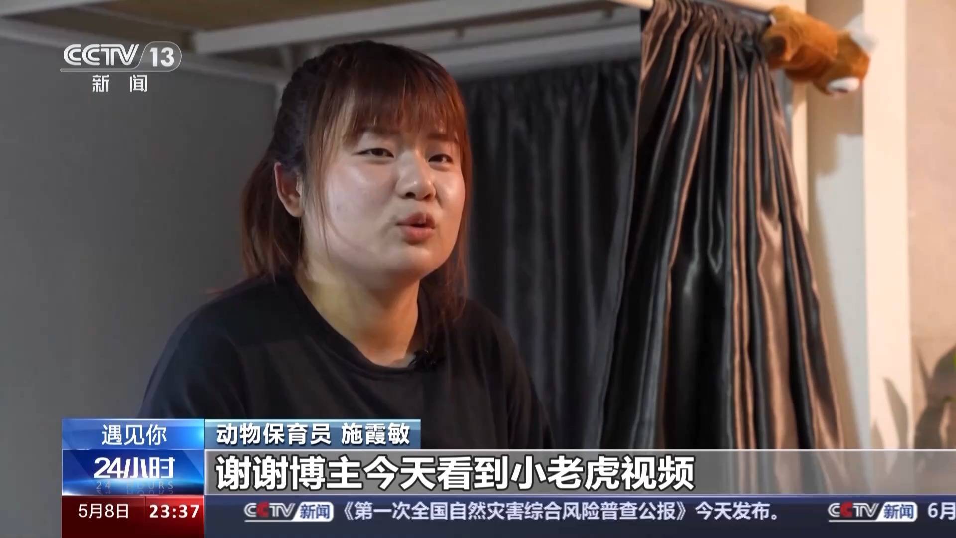 带薪“撸虎玩熊”?95后的她4年里拉扯大200多只猛兽崽崽 带薪“撸虎玩熊”?95后的她4年里拉扯大200多只猛兽崽崽