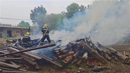 点燃杨柳絮涉嫌违法？民警告诉你→