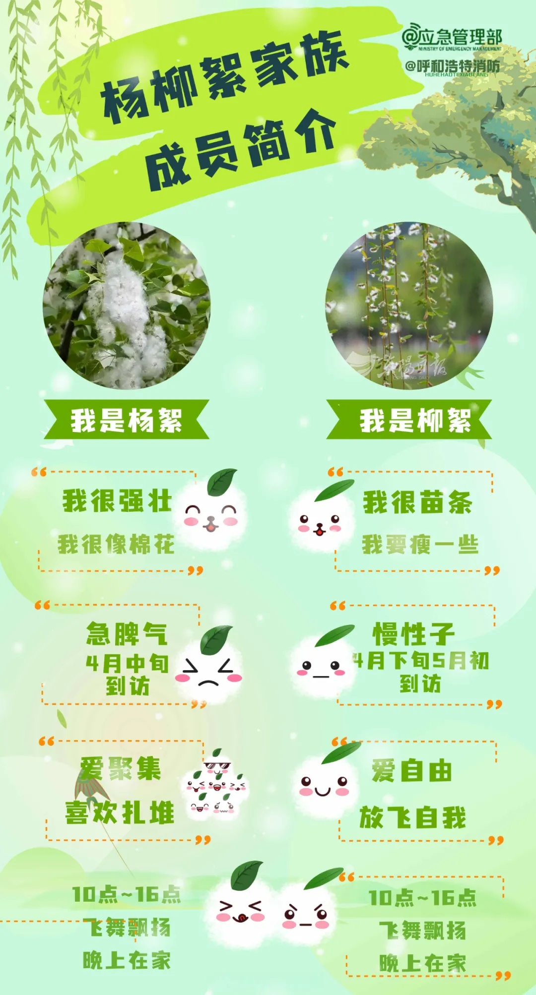 点燃杨柳絮涉嫌违法？民警告诉你→
