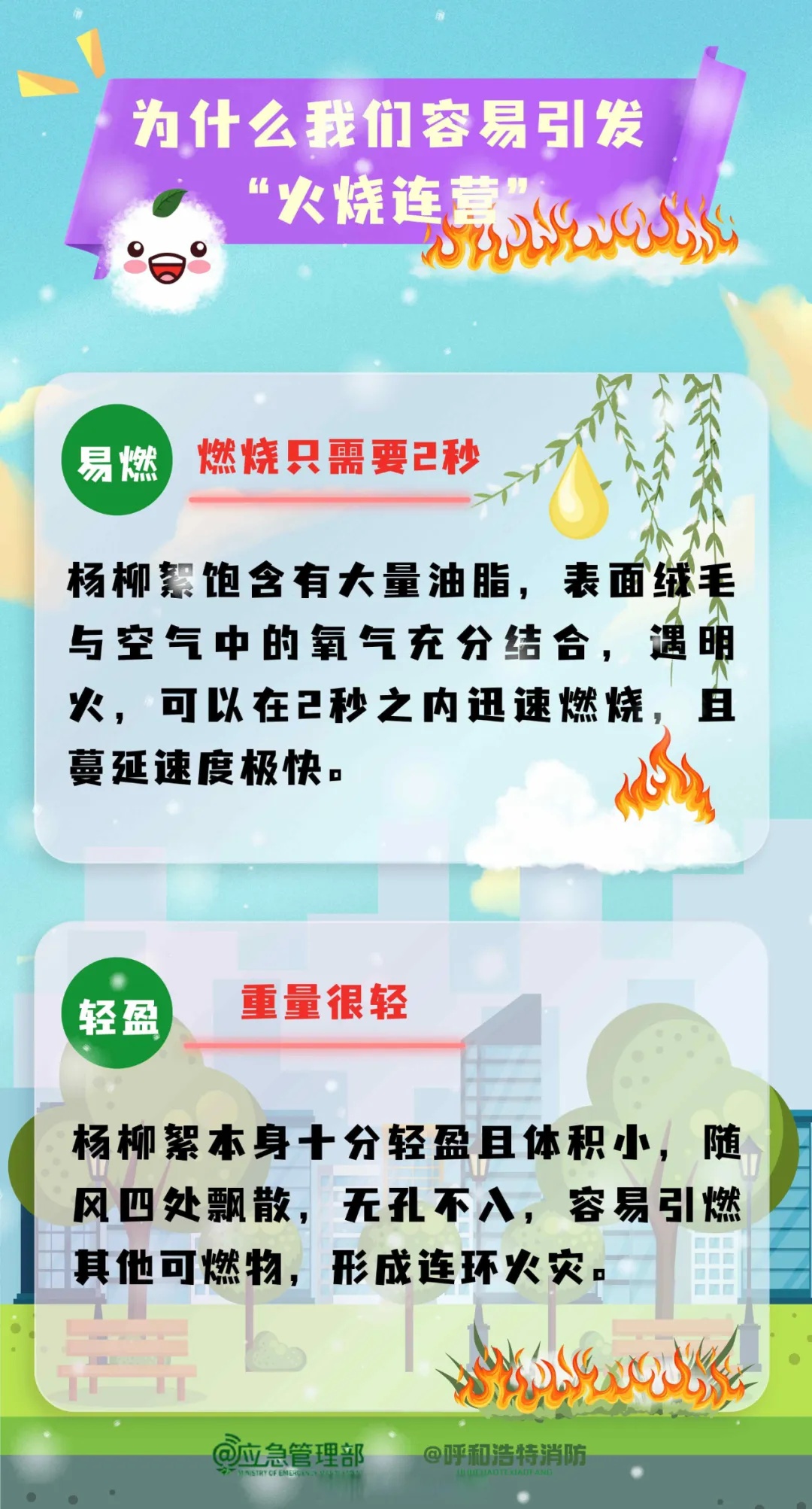点燃杨柳絮涉嫌违法？民警告诉你→