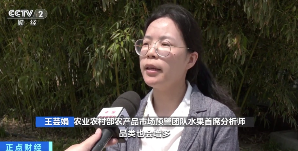 你爱吃的水果便宜了！甜瓜价格近乎“腰斩”，西瓜价格还能再降