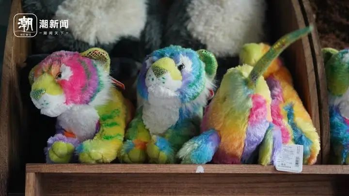 “zoo walk”为啥火了？