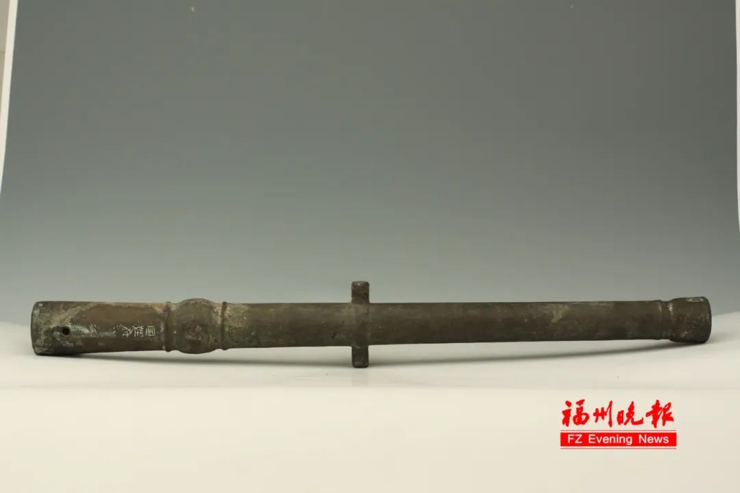 国家二级!很珍贵!福州发现的! 国家二级!很珍贵!福州发现的!