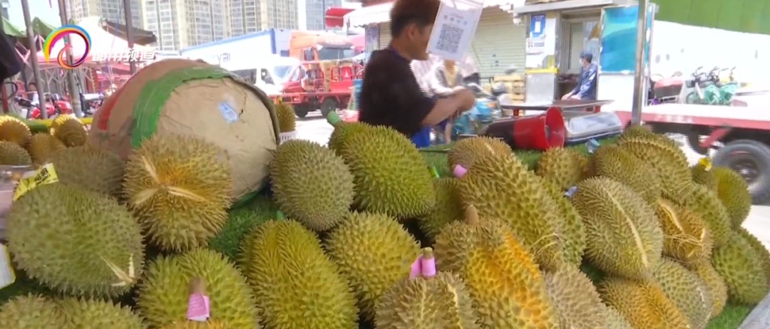 热搜第一!这种高价水果居然“100元5个”? 热搜第一!这种高价水果居然“100元5个”?