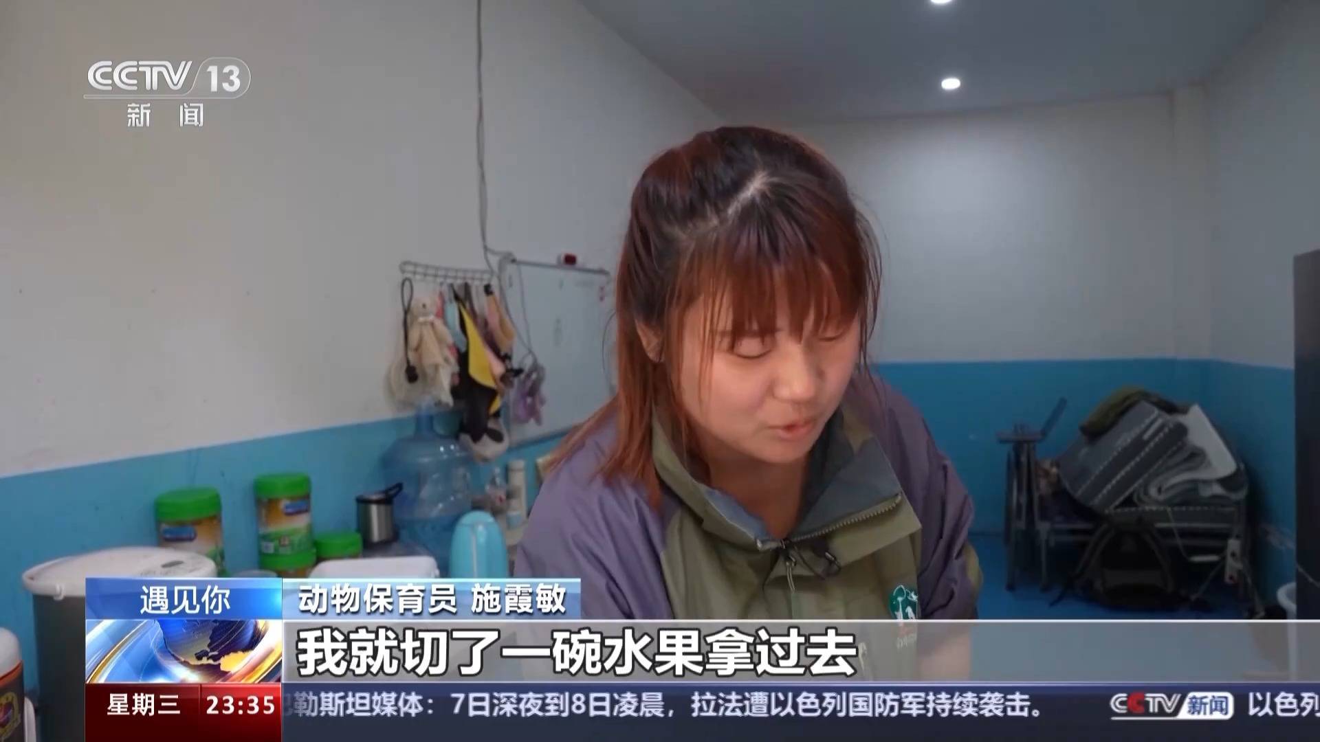 带薪“撸虎玩熊”?95后的她4年里拉扯大200多只猛兽崽崽 带薪“撸虎玩熊”?95后的她4年里拉扯大200多只猛兽崽崽