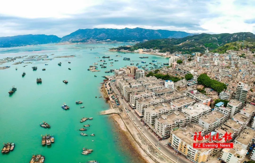 国家二级!很珍贵!福州发现的! 国家二级!很珍贵!福州发现的!