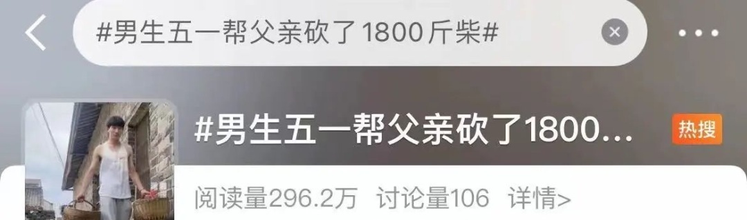 凌晨坐绿皮火车回家，帮父亲砍1800斤柴！他说……