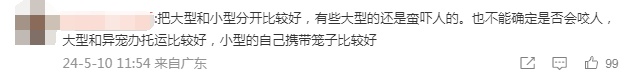 宠物有望上高铁了?12306推出高铁宠物运输问卷,网友:搞快点! 宠物有望上高铁了?12306推出高铁宠物运输问卷,网友:搞快点!