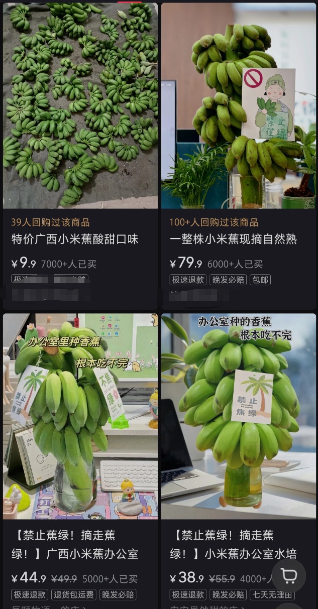 “我在工位养了一把香蕉”，当代年轻人的工位装修又上新了