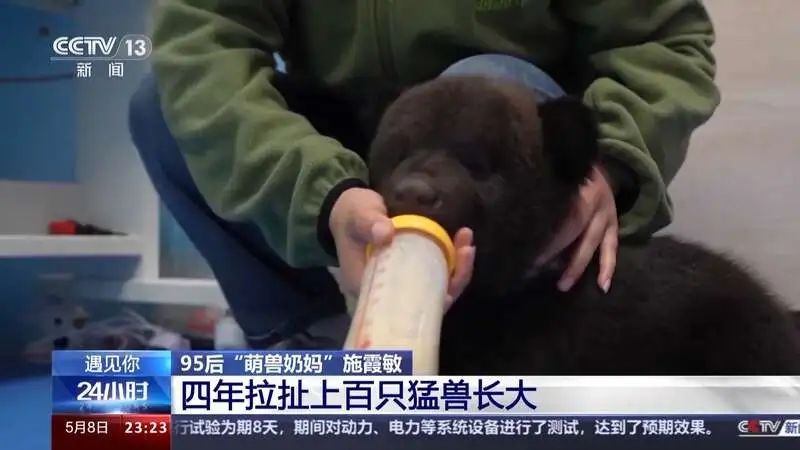 这届年轻人带薪“撸虎玩熊”?网友:梦想职业无疑了 这届年轻人带薪“撸虎玩熊”?网友:梦想职业无疑了