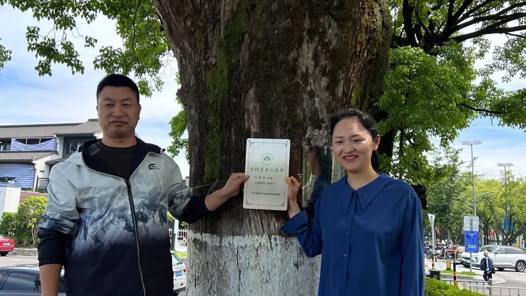 你好，有明朝时期的古树，有人认养吗？