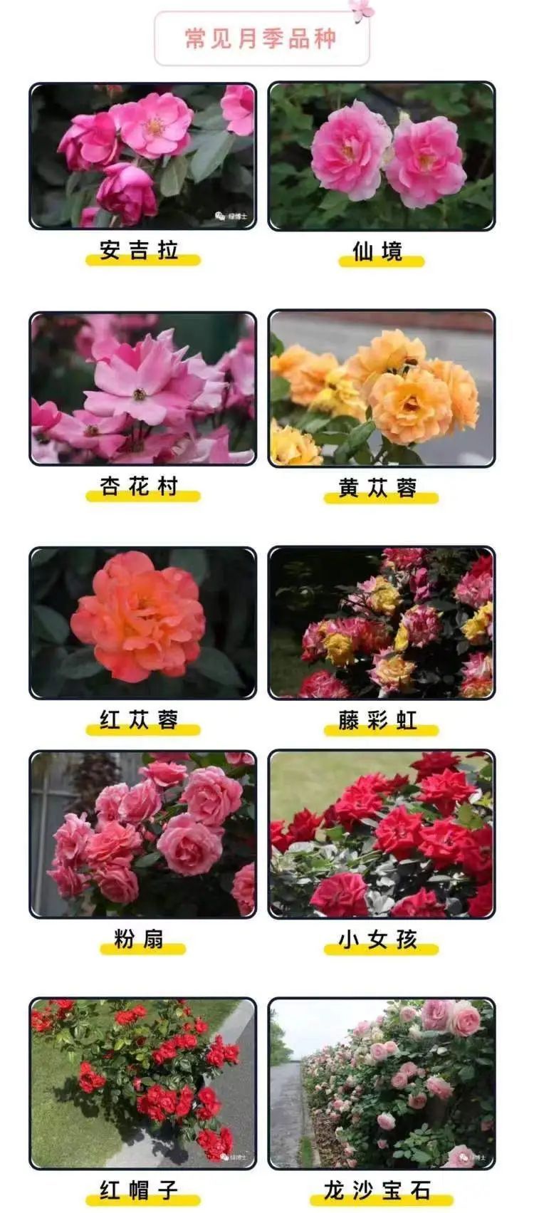 开车上高架，被上海美到了！一直到9月中旬→