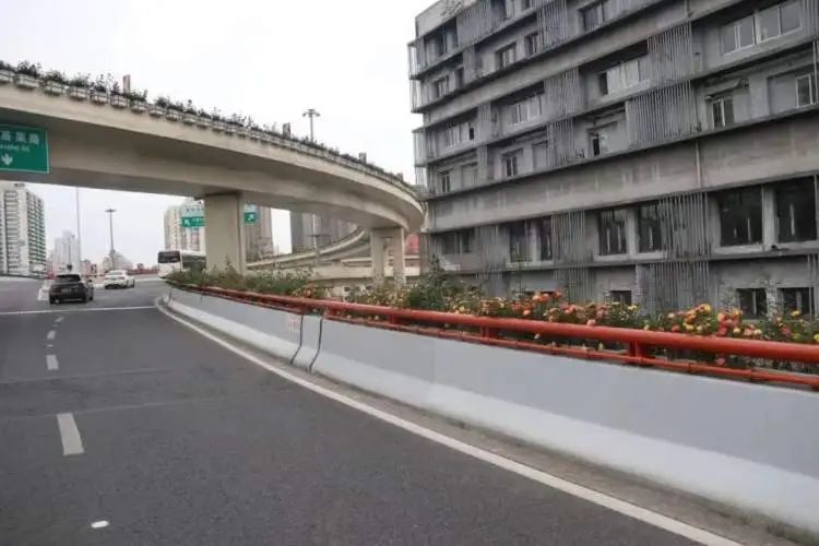 开车上高架，被上海美到了！一直到9月中旬→