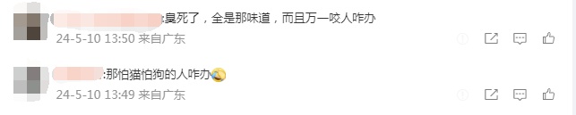 宠物有望上高铁了?12306推出高铁宠物运输问卷,网友:搞快点! 宠物有望上高铁了?12306推出高铁宠物运输问卷,网友:搞快点!