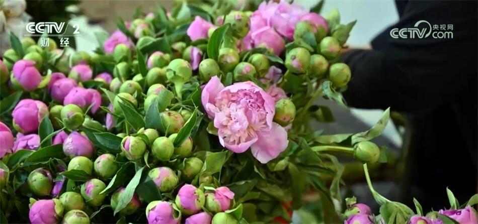 母亲节临近市场购销两旺 节日消费“购物车”折射经济“蒸蒸日上”
