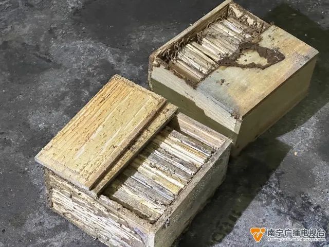 密密麻麻，大量出现！@南宁人，晚上注意关好门窗