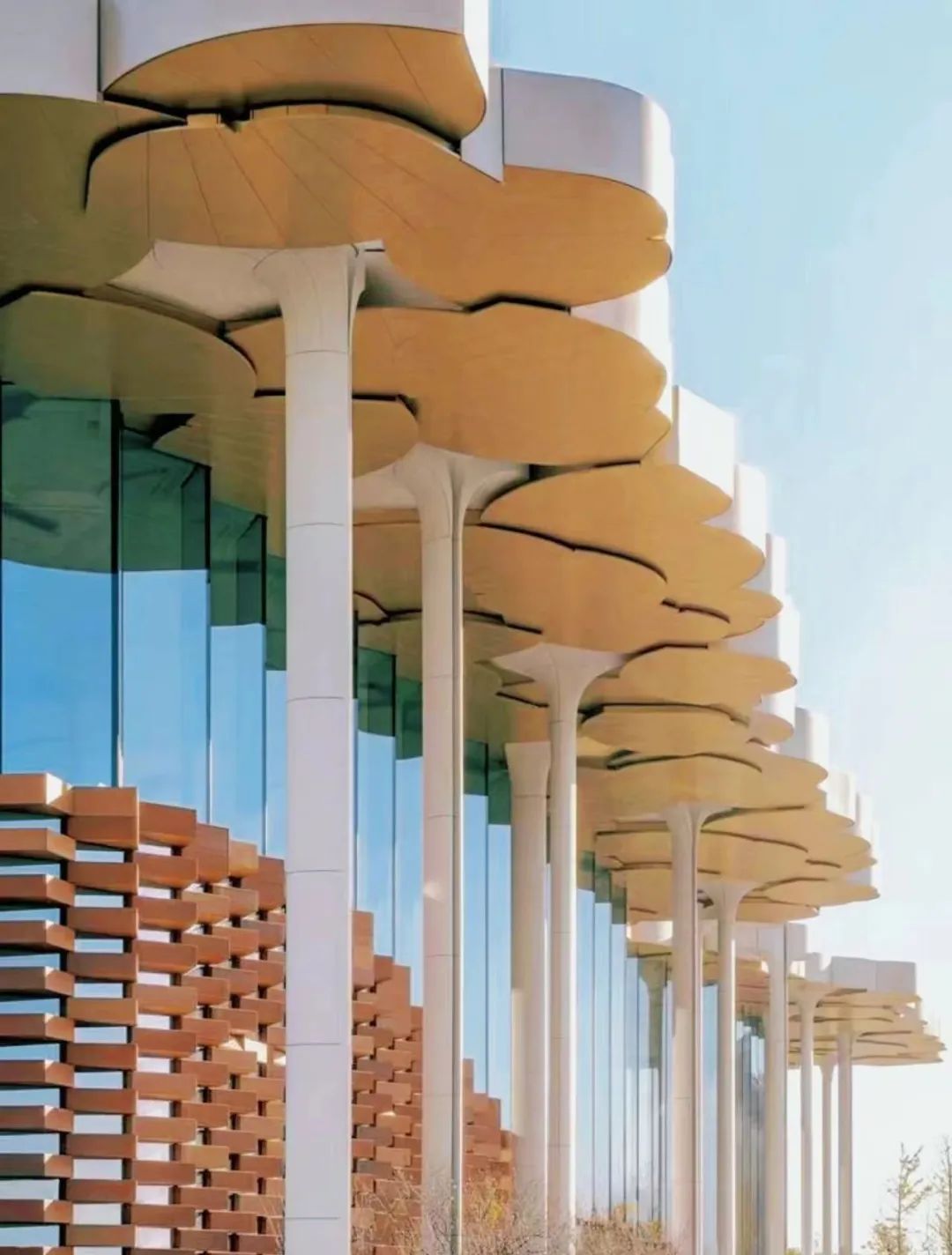 机器人上岗,户外阅读空间月底开启!北京城市图书馆的夏季不完全阅读指南 机器人上岗,户外阅读空间月底开启!北京城市图书馆的夏季不完全阅读指南