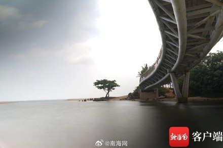 海口孤独的树走红,你去打卡过吗? 海口孤独的树走红,你去打卡过吗?