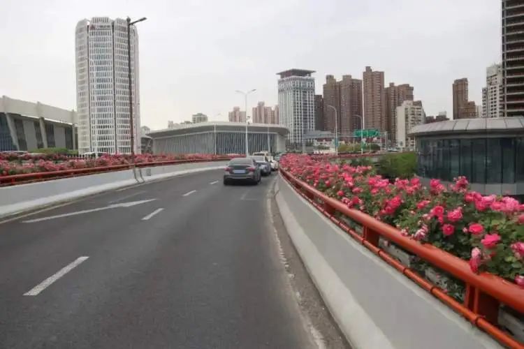 开车上高架，被上海美到了！一直到9月中旬→