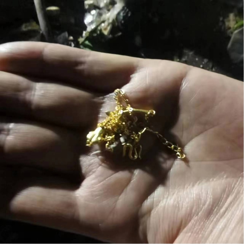 大海捞到“针”了！合肥环卫工翻遍5吨垃圾找到金项链！