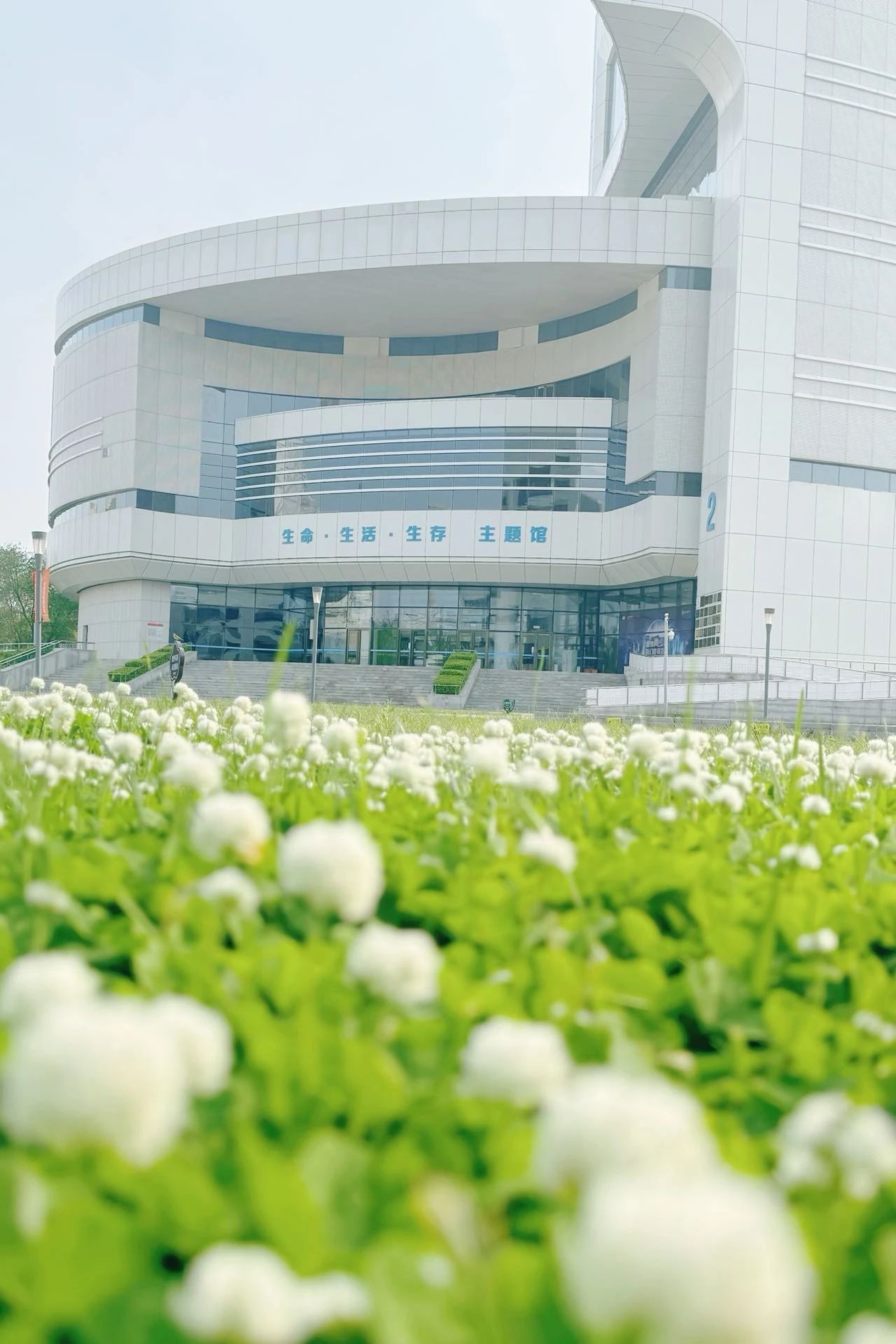 镜头下的北京科学中心 |白车轴草悄放 镜头下的北京科学中心 |白车轴草悄放