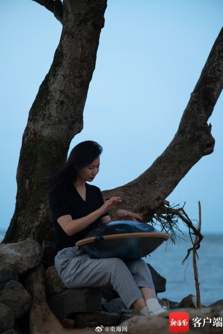 海口孤独的树走红,你去打卡过吗? 海口孤独的树走红,你去打卡过吗?