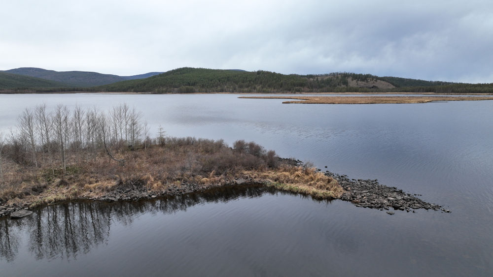 内蒙古阿尔山市：杜鹃湖畔杜鹃开