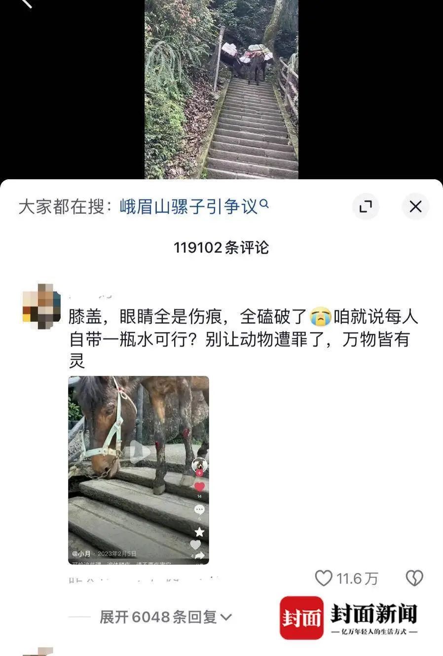 峨眉山景区骡子负重爬山引争议？景区回应