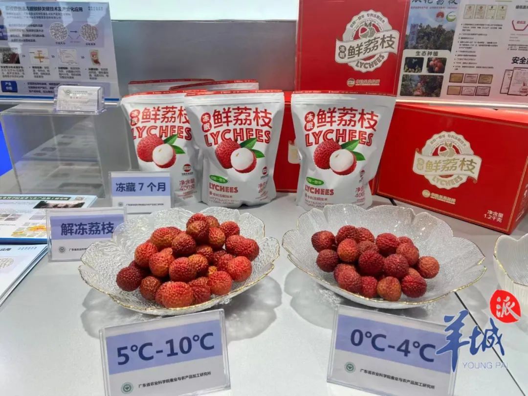 “冻眠”荔枝上热搜！专家：不加防腐剂，解冻后不化水