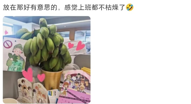 “我在工位养了一把香蕉”，当代年轻人的工位装修又上新了