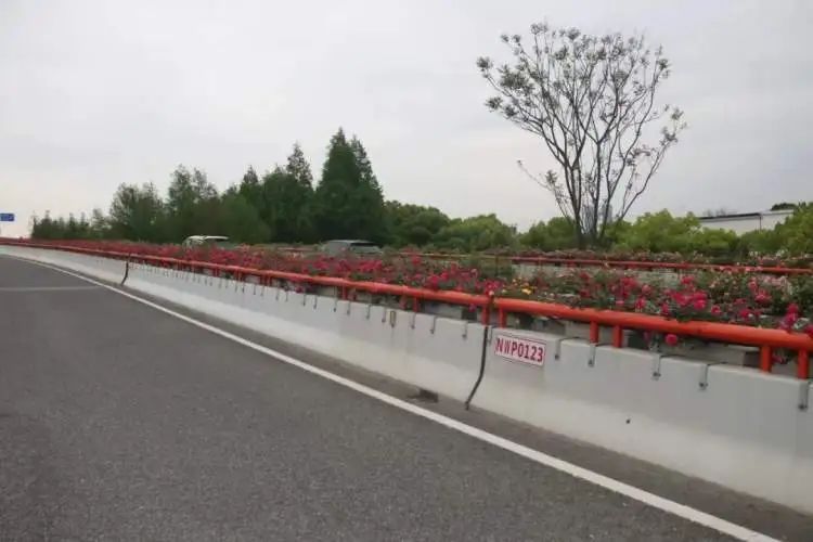 开车上高架，被上海美到了！一直到9月中旬→