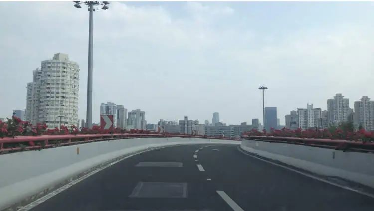 开车上高架，被上海美到了！一直到9月中旬→