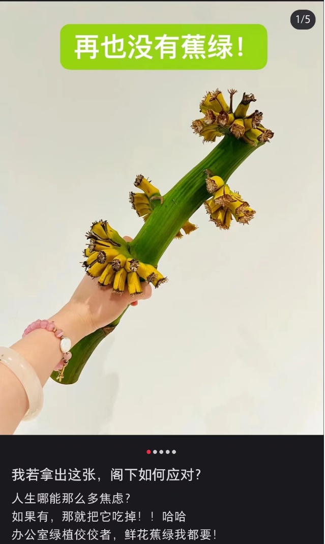 “我在工位养了一把香蕉”，当代年轻人的工位装修又上新了