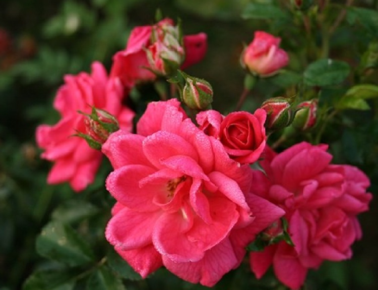 开车上高架，被上海美到了！一直到9月中旬→