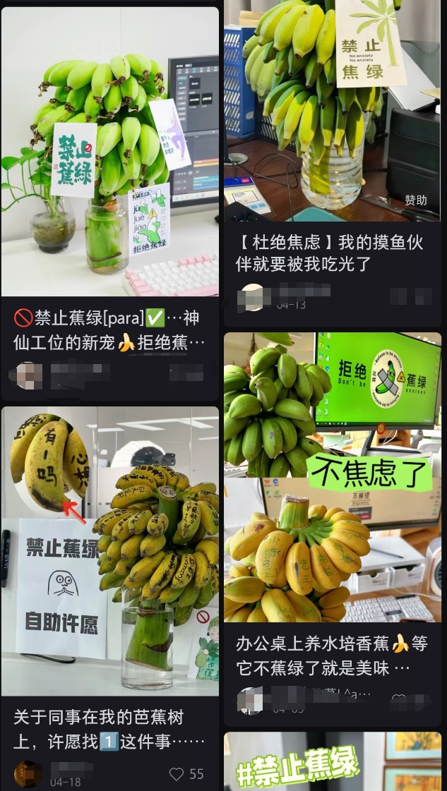 “我在工位养了一把香蕉”，当代年轻人的工位装修又上新了