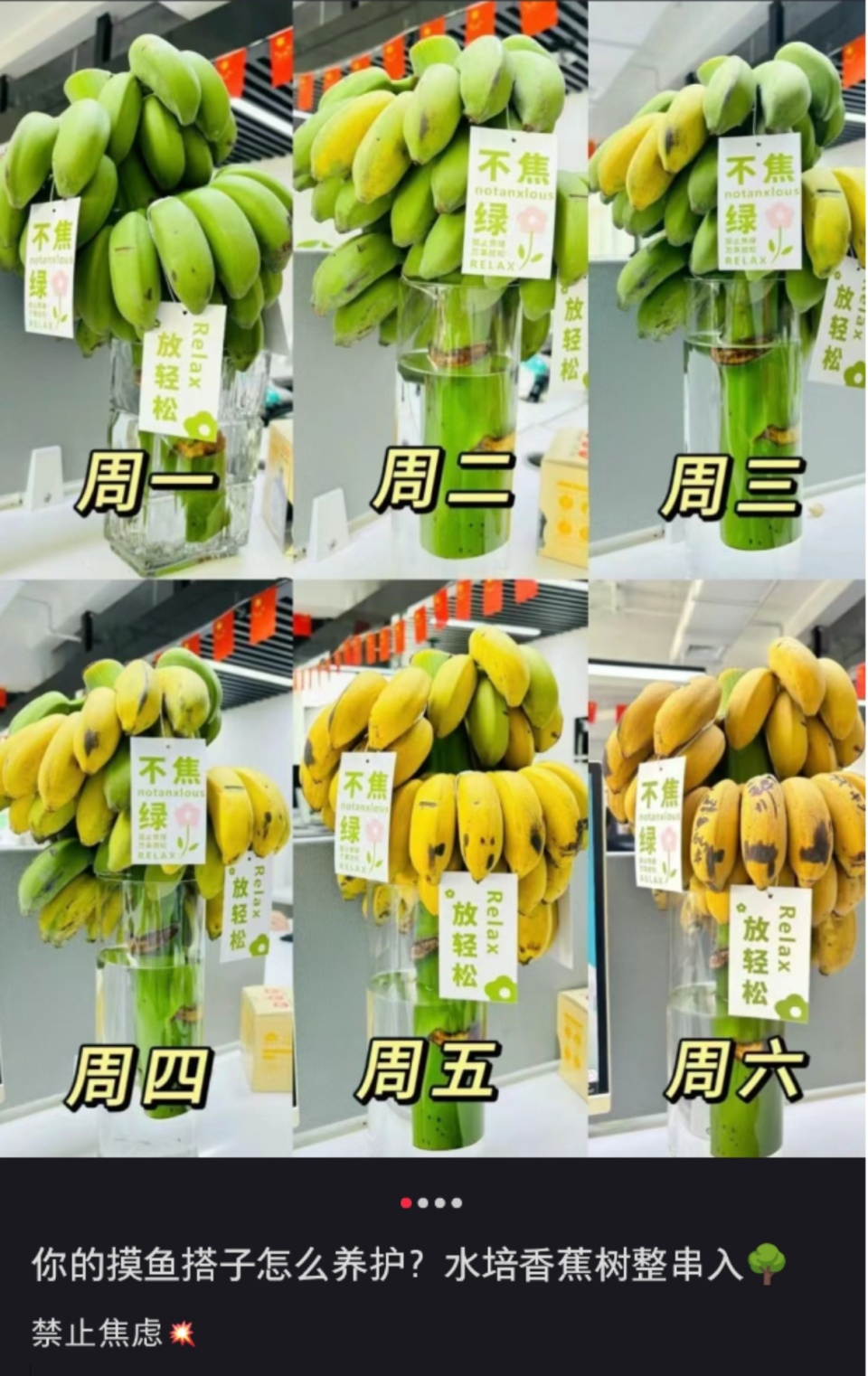 “我在工位养了一把香蕉”，当代年轻人的工位装修又上新了