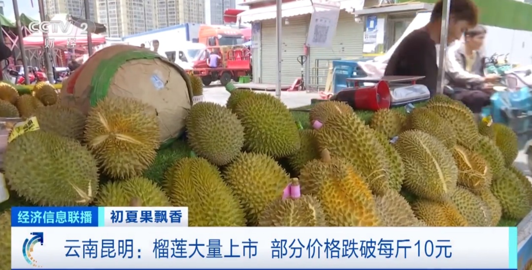 榴莲大量上市！吃对了胜过三只鸡？哪些人适合吃→
