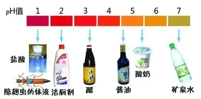 福州人注意!即将进入活跃期!有人中招脖子烂了一圈…… 福州人注意!即将进入活跃期!有人中招脖子烂了一圈……