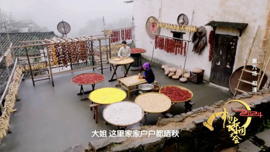 《中国诗词大会》第九场 金风玉露一相逢,便胜却人间无数 《中国诗词大会》第九场 金风玉露一相逢,便胜却人间无数