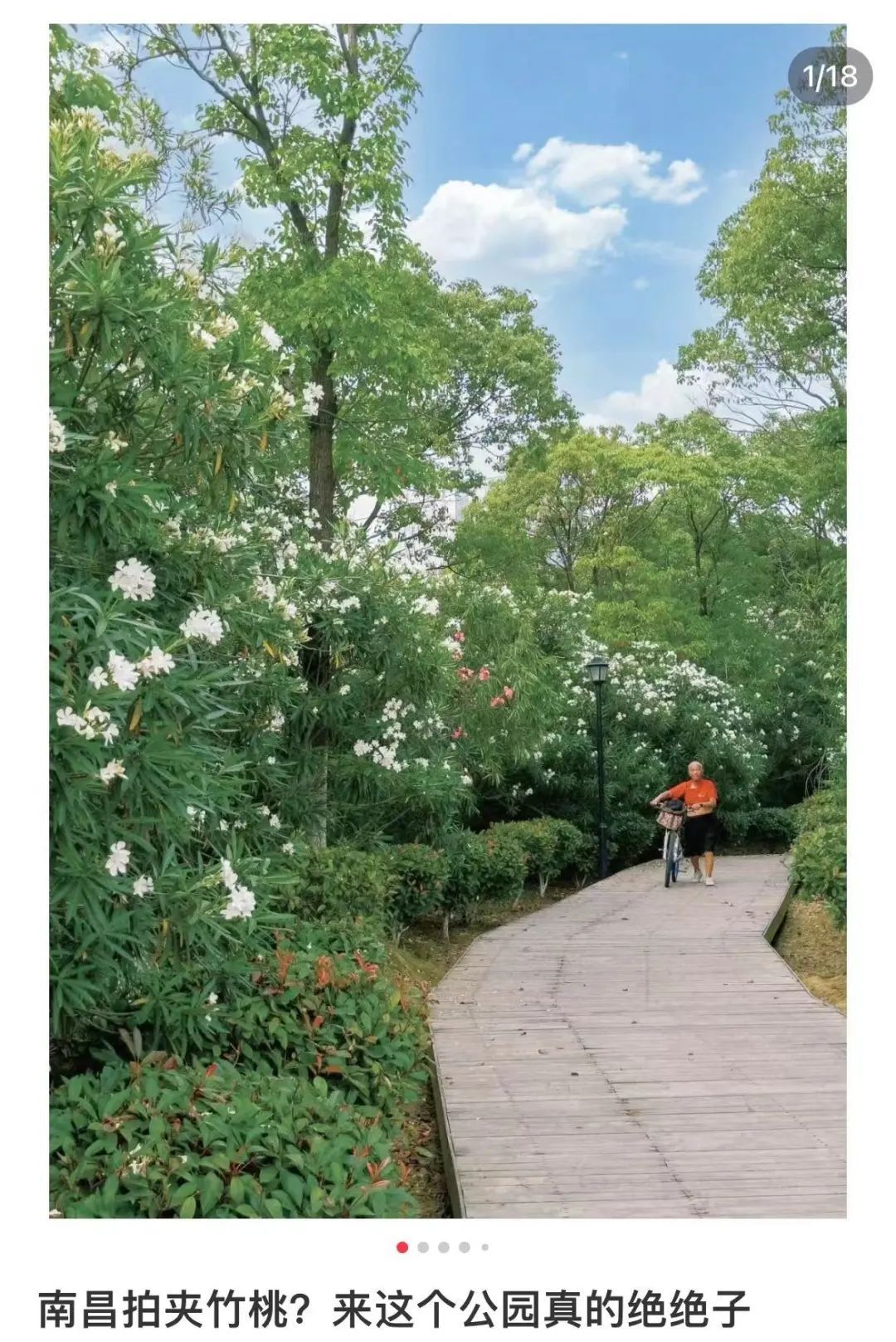 南昌已出现！有毒！千万别乱碰