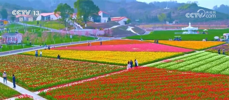 “五一”假期全国国内旅游出游合计2.95亿人次 同比增长7.6%